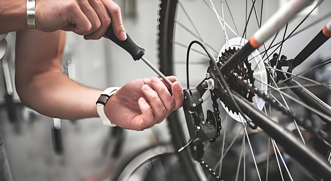 A Practical Guide to Eletric Bike Maintenance